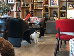 大堂-咖法森林·咖啡  酒吧(天河店)