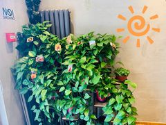 -ZING COFFEE 镜咖啡