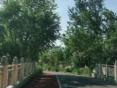 -上海长兴岛郊野公园