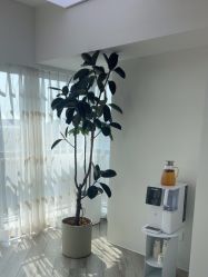 -HEYAN荷妍专业脱毛连锁机构