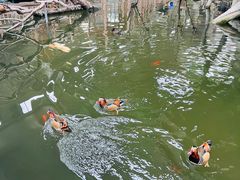 -南宫五洲植物乐园