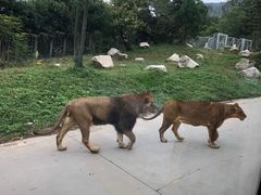 -西安秦岭野生动物园