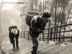 -东天目山风景区