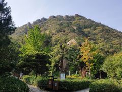 -北京鹫峰国家森林公园