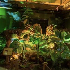 -恐龙探索乐园(磁器口店)