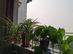 -美味之家·湖景农家乐(太湖东山店)