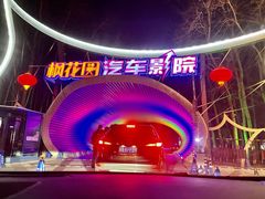 -枫花园汽车电影院(朝阳公园店)