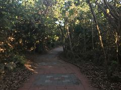 -鹅銮鼻公园