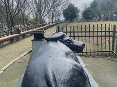 -仙岛湖旅游风景区