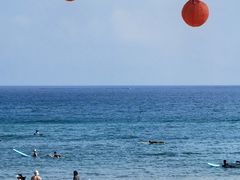 -西涌国际滨海旅游区