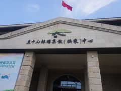 -莫干山风景区
