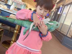 -FAIRYLAND龙族星球主题餐厅(凯丹广场店)