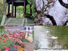 -莫愁湖公园