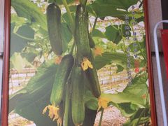 -肖记公安牛肉鱼杂馆· 省级非物质文化遗产(仁和路店)