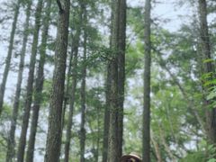 -白草畔自然风景区