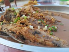 九华石鱼-宜城私房菜.臭鳜鱼(九华新街店)