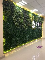 门面-静博士养生美容连锁