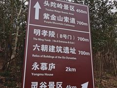 -紫金山山顶公园