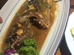 -俏东方·海味水饺·青岛菜(崂山店)