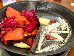 -阳阳老火锅(小南门店)