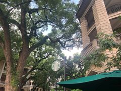 -星巴克臻选(广州沙面店)