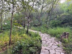 -北京凤凰岭