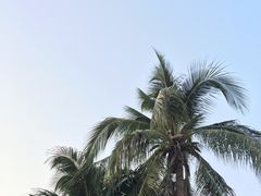 -后海村