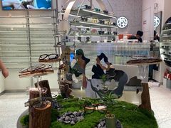 -木九十眼镜(朝阳大悦城B1店)