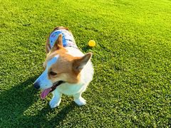 -秦皇岛阿尔卡迪亚滨海度假酒店