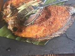 -云海肴·汽锅鸡·云南代表菜(天山百盛优客店)