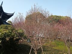 -凤城河风景区