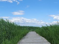 -野鸭湖国家湿地公园