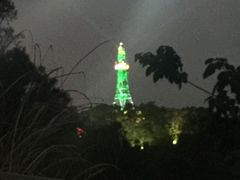 -金鸡山公园