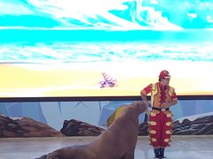 -三亚海昌梦幻海洋不夜城