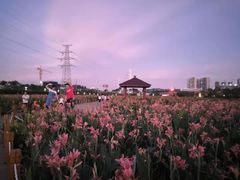 -那考河湿地公园