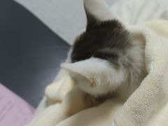 -谐和贝康宠物医院24小时·宠保定点(急重症转诊中心)