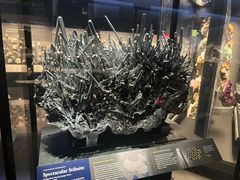 -美国自然历史博物馆