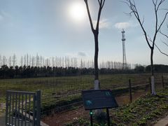 -上海长兴岛郊野公园