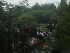 -桤木河湿地公园