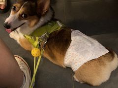 -炙韩料理·部队锅专门店