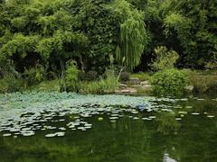 -北湖公园