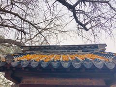 -浮来山风景区