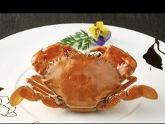 -四季海鲜酒楼·粤菜·早茶·宴会(南山中心区店)