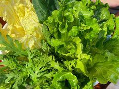 蔬菜拼盘-云中鱼蒸汽石锅鱼(浦东食品城店)