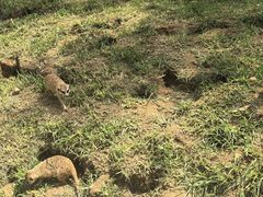 -秦皇岛野生动物园