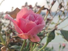 -爱康国宾体检中心(杭州滨江江南大道分院)