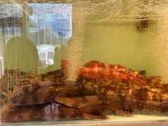 -至尊鲨鱼·原烹海鲜·新浙菜(拱宸桥店)