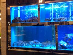 景观位-金悦轩海鲜酒家(银河店)