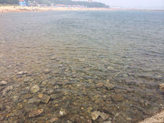 iphone_upload_pic-八大关景区