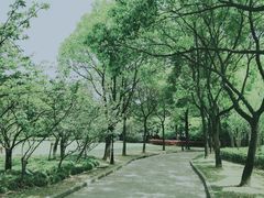 -龙华烈士纪念馆-停车场